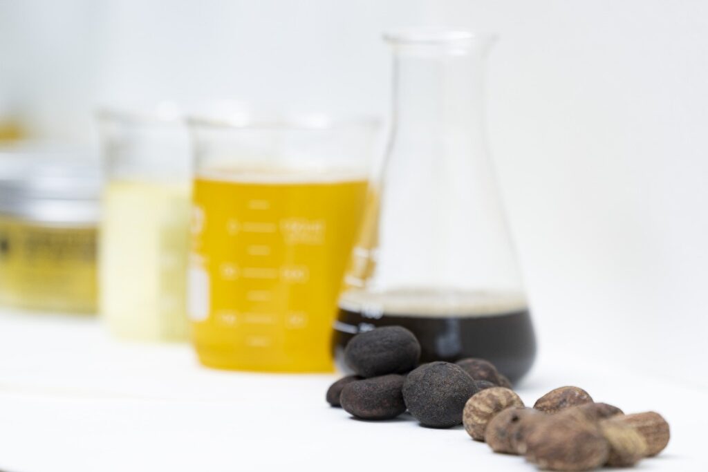 whatsapp image 2025 09 17 at 14.23.22