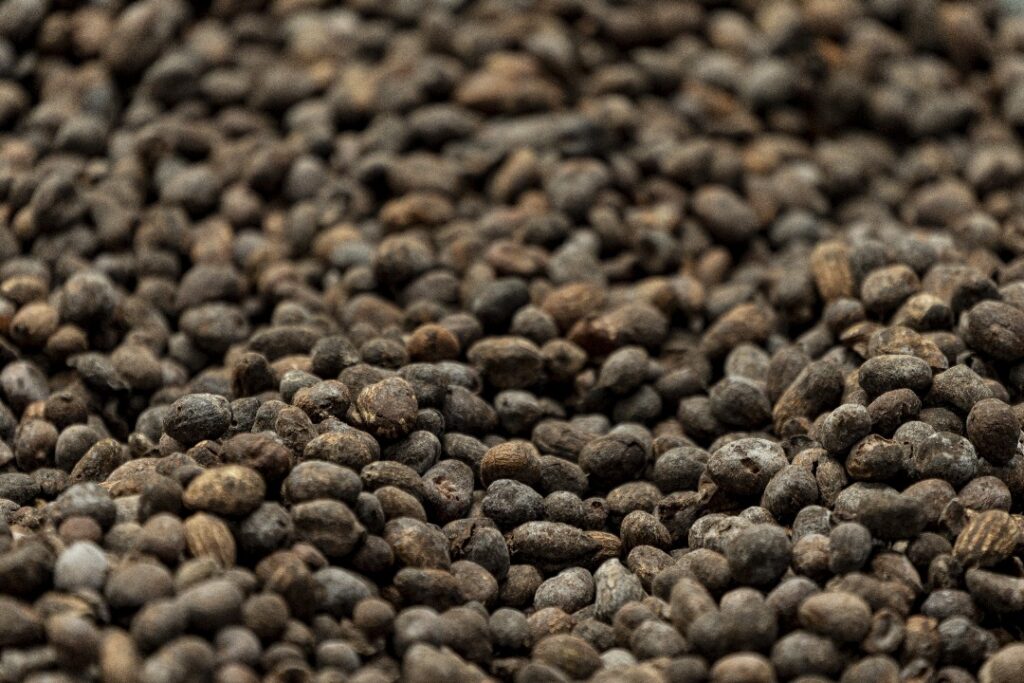 whatsapp image 2025 09 17 at 14.23.26 (3)