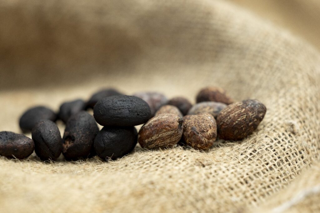 whatsapp image 2025 09 17 at 14.23.28 (1)