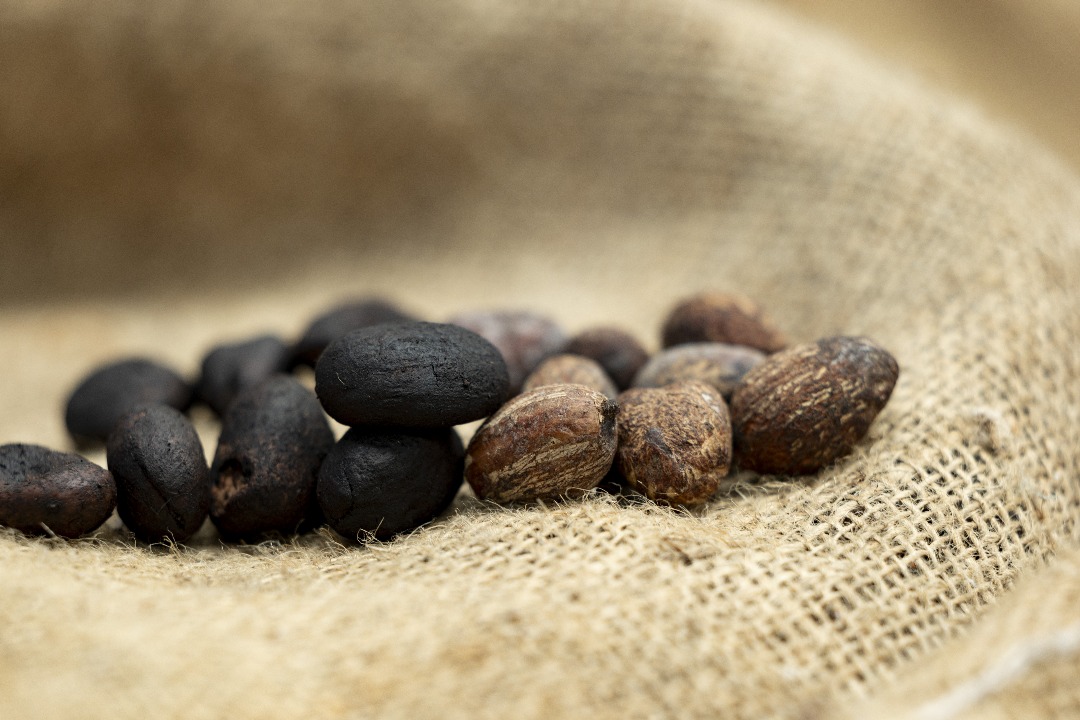 whatsapp image 2025 09 17 at 14.23.28 (1)