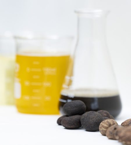 whatsapp image 2025 09 17 at 14.23.22