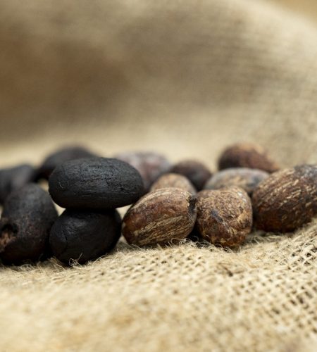 whatsapp image 2025 09 17 at 14.23.28 (1)